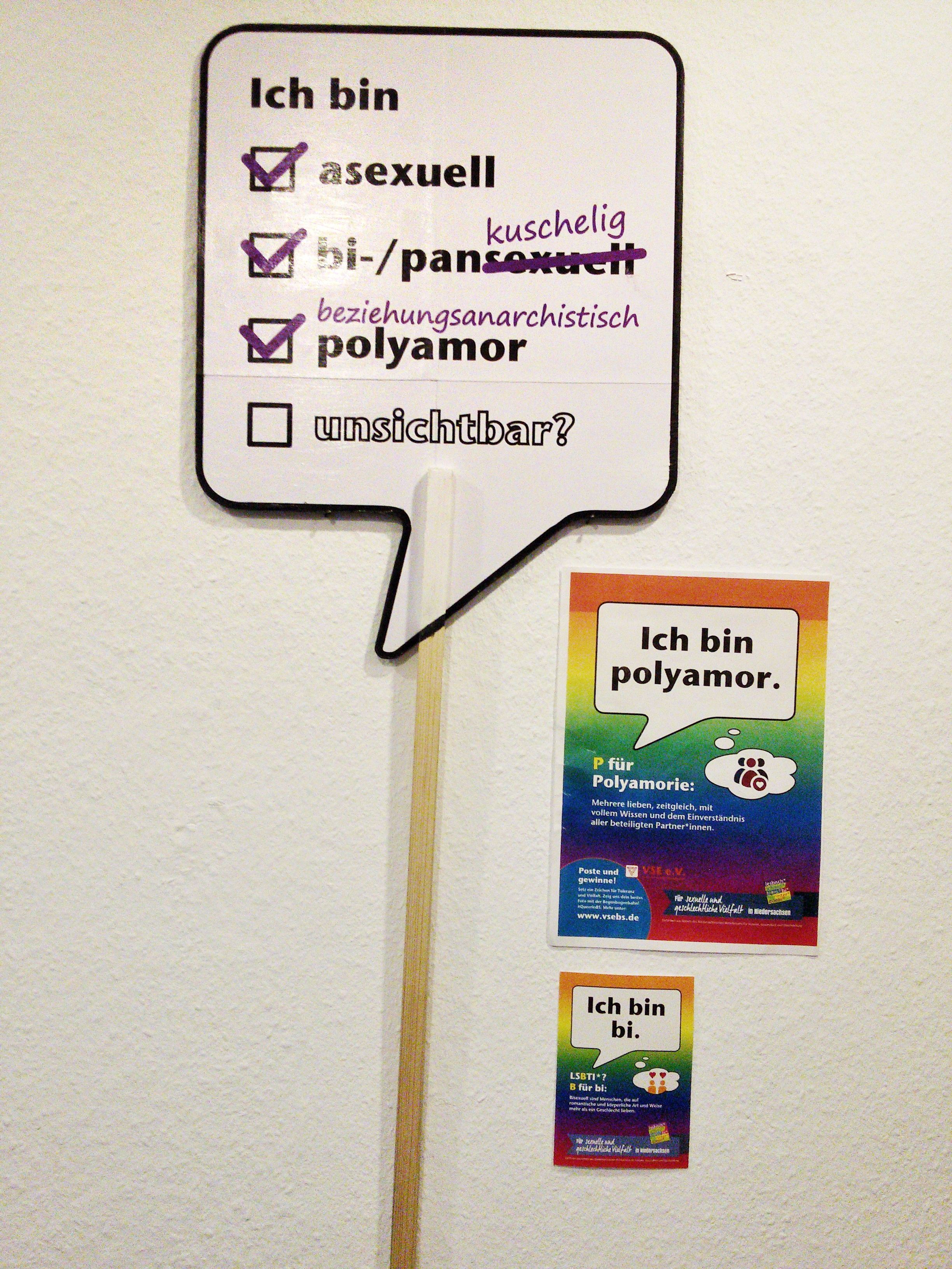 photo of my sign hanging on the wall next to some posters from the campaign